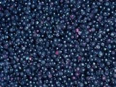 Murele si afinele au efecte antioxidante asupra organismului