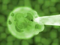 Un test de sange le va spune femeilor cate ovule mai au