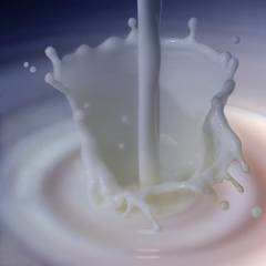 Alternative ecologice pentru laptele provenit de la animale