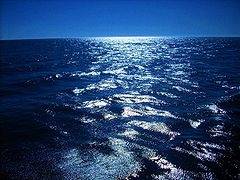 Incalzirea oceanelor are ca efect o epidemie de gastroenterita, in Europa