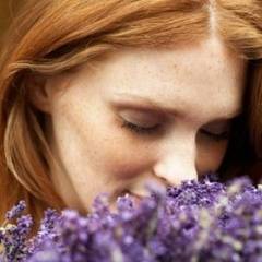 Antiseptic natural: solutie cu levantica