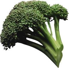 Mugurii de brocoli te scapa de ulcer si cancer la stomac