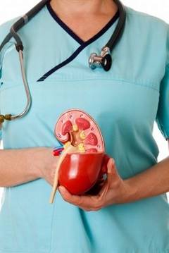 Cum sa-ti tii rinichii si arterele curate