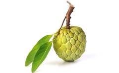 Cherimoya, o explozie de vitamine si minerale intr-un fruct putin cunoscut