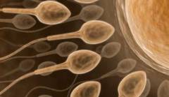 Cauzele infertilitatii barbatilor