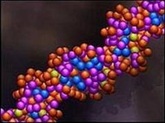 Test care semnaleaza riscul de a dezvolta boli transmise genetic