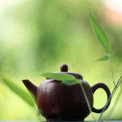 Cele mai bune plante din care sa faci un ceai sanatos