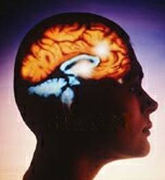 Amfetaminele din adolescenta afecteaza creierul la maturitate