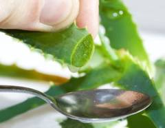 Beneficiile sucului de aloe vera