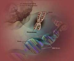 Codul genetic a doua tipuri de cancer, descifrat