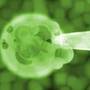 Un test de sange le va spune femeilor cate ovule mai au