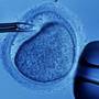 Fertilizarea in vitro va avea un program national