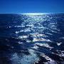 Incalzirea oceanelor are ca efect o epidemie de gastroenterita, in Europa
