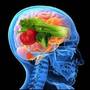 Alimente pentru un creier tanar si alert
