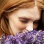 Antiseptic natural: solutie cu levantica
