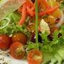 Dieta care previne aparitia cancerului