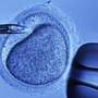 O fertilizare gratuita, daca promiti ca nu fumezi si nu bei