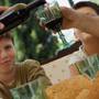 Un pahar de vin la masa, in cazul copiilor, duce la probleme cu alcoolul, la maturitate