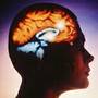 Amfetaminele din adolescenta afecteaza creierul la maturitate