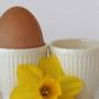 Colesterolul poate fi redus cu oua