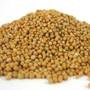Mustarul, ingredient necesar pentru sanatate si frumusete
